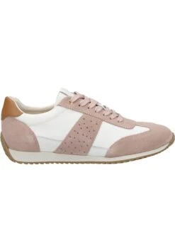 Geox Calithe - Baskets Basses - Beige