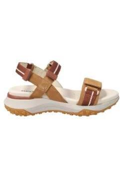 Geox Sorapis - Sandales De Randonnée - Braun