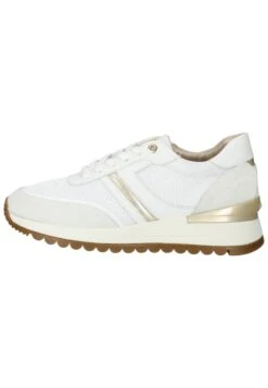 Geox Baskets Basses - White C