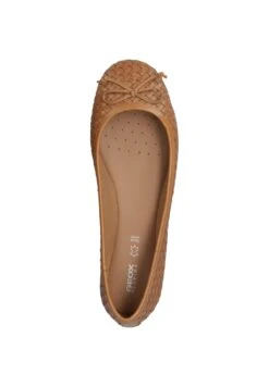Geox Palmaria - Ballerines - Braun 6 Geox Palmaria - Ballerines - Braun -Geox e31613dbaf1c44ebbe910c585c979f41